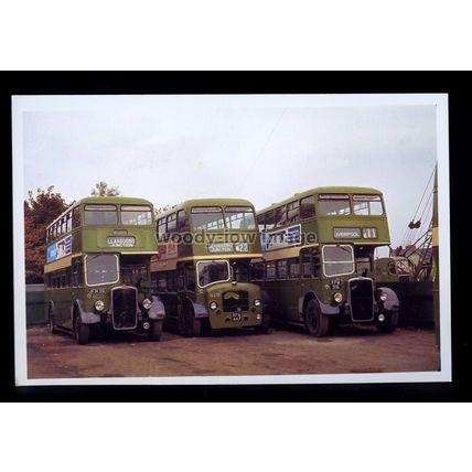 tm7513 - Crosville Buses - Reg.Nos.JFM 96, RFM 447 & FFM 316 - photograph 6x4