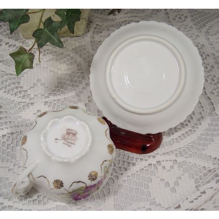 N D & CO Nowotny & Dressle CARLSBAD CHINA AUSTRIA Teacup & Saucer Unique Design