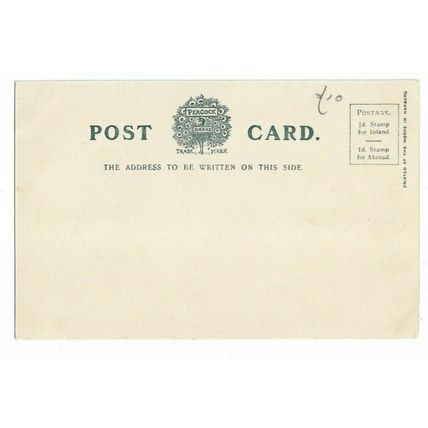 The Park, Barnstaple, Devon, Undivided Back Postcard.