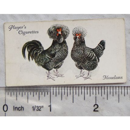 1931 John Player & Sons Poultry No. 21 Houdans