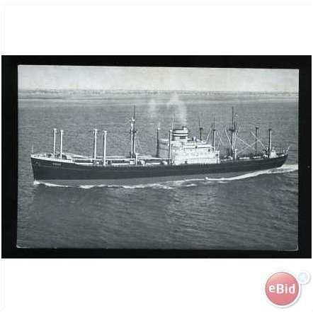 Holland-America Line SS ANDYK Postcard