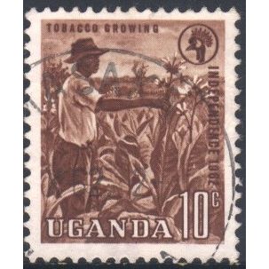 Uganda 1962 - SG100 - 10c brown - Tobacco Growing - used