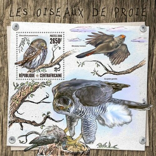CENTRAL AFRICA 2016 SHEET MNH BIRDS OF PREY OISEAUX DE PROIE OWLS HIBOUX 5A