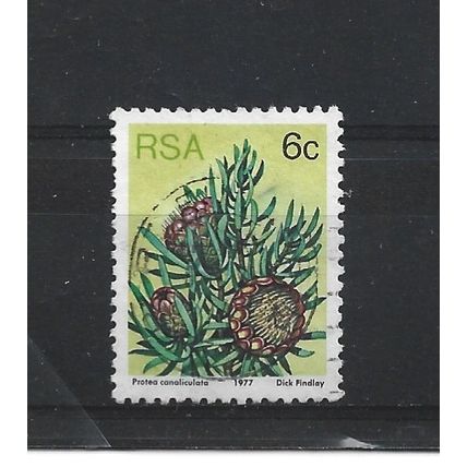 SouthAfrica.SG419 6c Protea Canaliculata.Fine Used.Sep25h