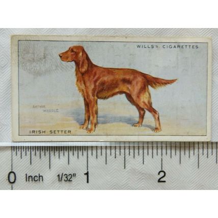 1937 Wills Dogs No. 30 Irish Setter