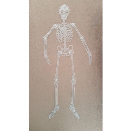 4 ft Tall Spooky Halloween Plastic Skeleton Jointed Glow in the Dark prop Decor