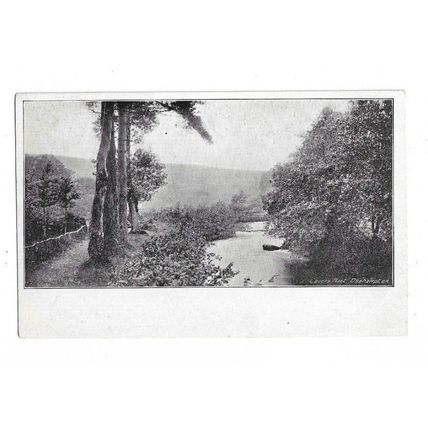 Lover's Meet, Okehampton, Devon, Undivided Back Postcard.