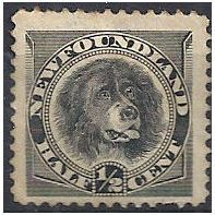 Newfoundland 1894 SG59 1/2c Black Mounted Mint ..