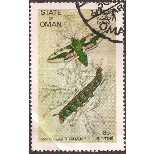 OMAN, BUTTERFLY, Elephant Hawk Moth, beige 1972, 8b