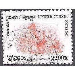Cambodge 2000 Michel 2053 O Cote (2006) 1.50 € Moissonnage Cachet rond