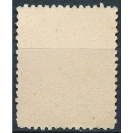 Coat of Arms: 1c - Bolivia 1894 - NM H - Forgery 25mm Length