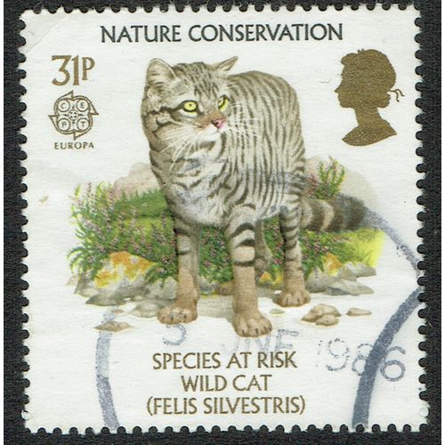 1986 Europa Nature Conservation 31p Multicoloured SG1322 FU