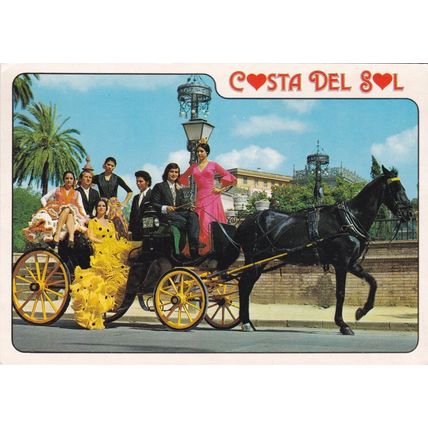 Costa del Sol image Spain Postcard posted VGC