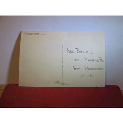 GERANIUMS flowers unused Swiss postcard =