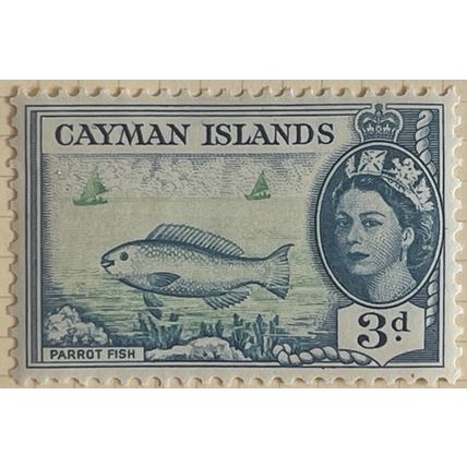 Cayman Islands QEII 1955 3d Green & Blue Parrotfish Mounted Mint MM SG 154 stamp