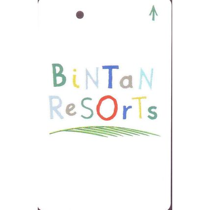 Bintan Resorts S'pore Transitlink Train/Bus Card