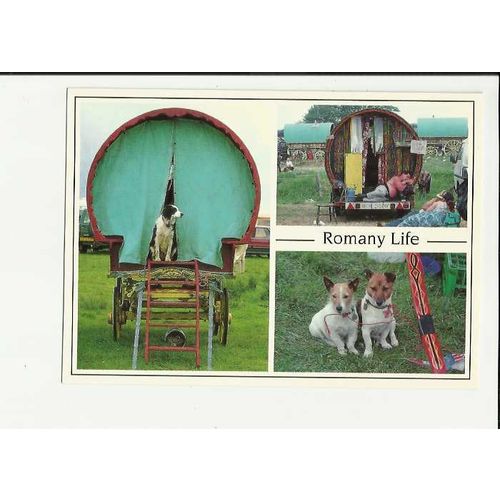 ROMANY LIFE Postcard by Pedley (PP498)