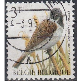 Belgique 1991 Michel 2477 O Cote (2008) 0.20 € Bruant des roseaux Cachet rond