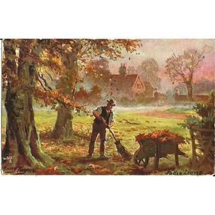 Art HARRY PAYNE "Fallen Leaves" Tuck Oilette Postcard (9291)