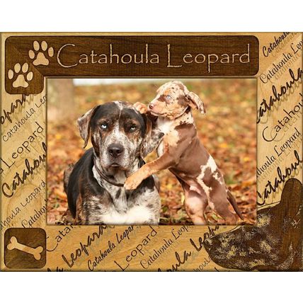 Catahoula Leopard Laser Engraved Wood Picture Frame Landscape (5 x 7)