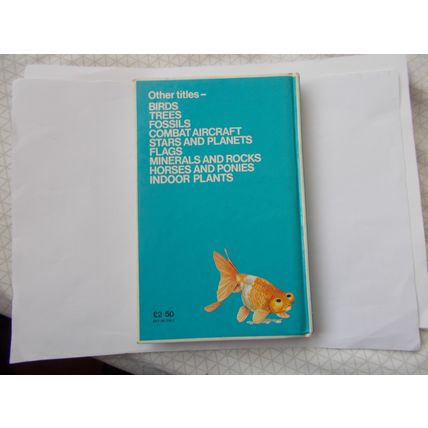 AQUARIUMN FISHES (23/01) HARDBACK