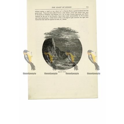 Beachy Head, Sussex, England, Book Illustration (Print), 1891