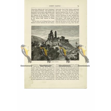 Corfe Castle, Dorset, England, Book Illustration (Print), 1891