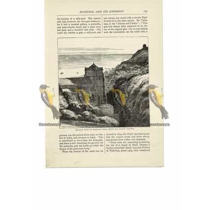 Hastings, fm above All Saints, Sussex, England, Book Illustration (Print), 1891