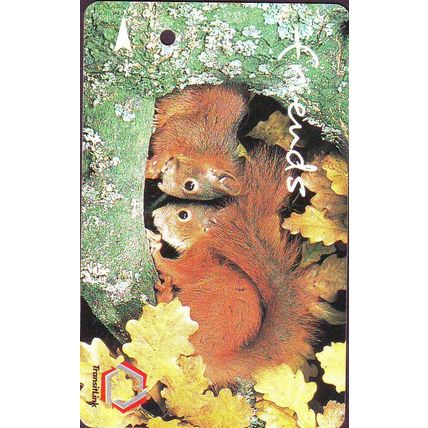 Friends 2 Squirrel S'pore Transitlink Train/Bus Card