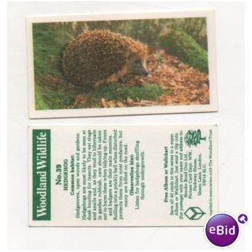 Brooke Bond Tea card Woodland Wildlife series no.39 HEDGEHOG