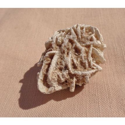 E Desert Rose Gypsum 1.625 Inch Raw Rough Stone Crystal Metaphysical