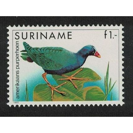 Suriname American Purple Gallinule Bird 1985 MNH SG#1248