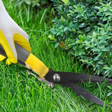 Jardineer Grass Shears Handheld, Razorsharp Hand Grass Clippers, Non-Slip Grass