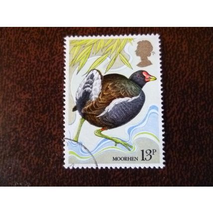 1980 GB Wild Bird Protection Act British 13p Moorhen fine used stamp SG1111