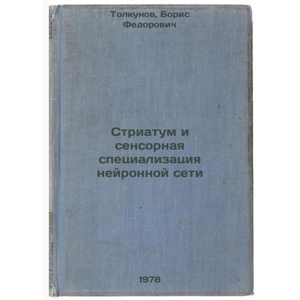 Striatum i sensornaya spetsializatsiya neyronnoy seti/The striatum and the se...