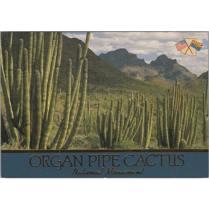 ZAYIX Postcard Organ Pipe Cactus National Monument Arizona 102022-PC73