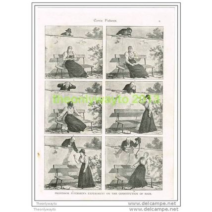 THE CONSTITUTION OF HAIR, COMIC PICTURE, Book Illustration c1895