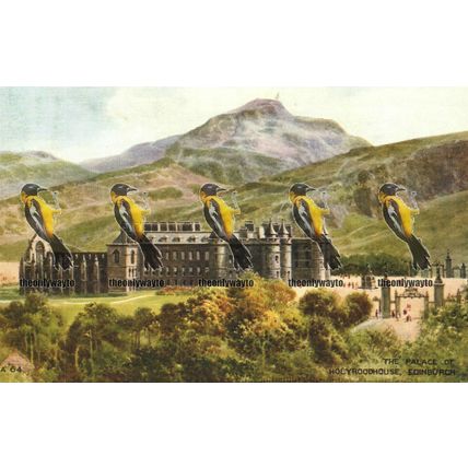 Palace of Holyrood House, Edinburgh, Valentines Art Colour Postcard, 1940s