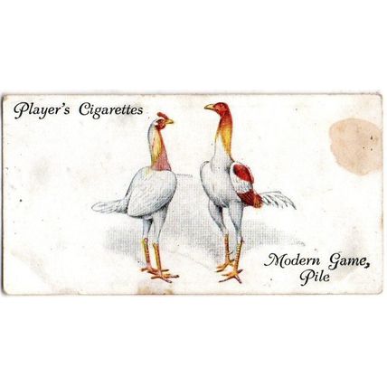 PLAYER'S CIGARETTE CARD POULTRY 1931 No. 17. MODERN GAME, PILE