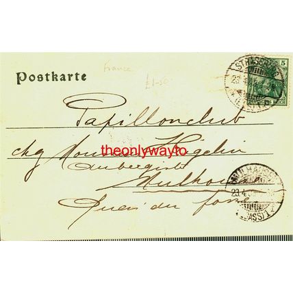 Strassburg (Strasbourg), Orangerie Orientalischer-Kiosk, Germany Postcard, 1903?