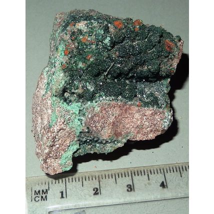 Atacamite - Mt. Gunson Cu Mine, South Australia Mineral - 60x40mm 72g #eb008
