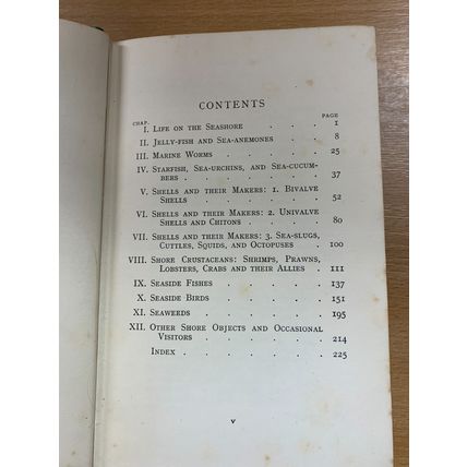 1956 "THE SEASIDE NATURE BOOK" ERIC FITCH DAGLISH ILLUSTRATED HB BOOK (P3)