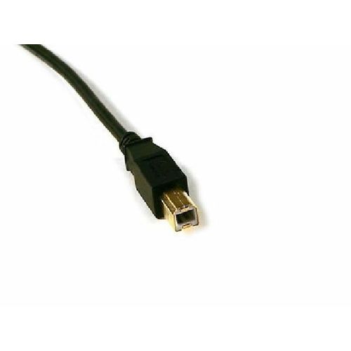 USB 2.0 A Male to B Male Cable - 15ft
