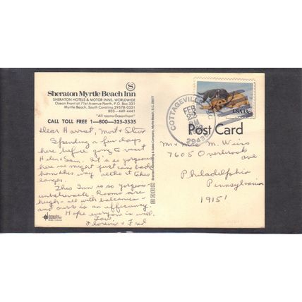 Used Postcard 2025 13c Kitten and Puppy CV02878
