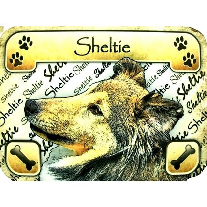 Sheltie Photo Fridge Magnet