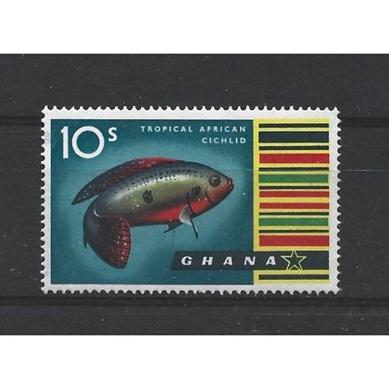Ghana.SG225 10s Jewel Cichlid.Mounted Mint.Feb24
