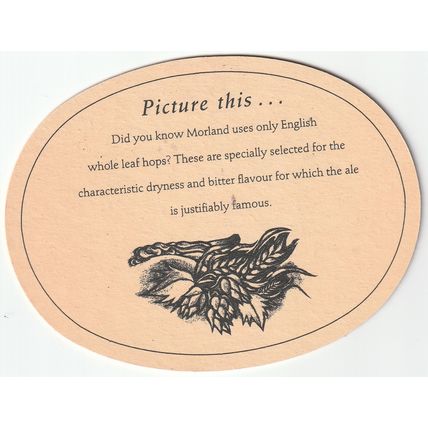 BEER MAT - MORLAND BREWERY - BITTER (PICTURE THIS) - (Cat No 038) - (1990)