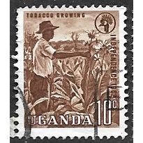 UGANDA 1962/1964 SG 100 - #3 fine used (o)