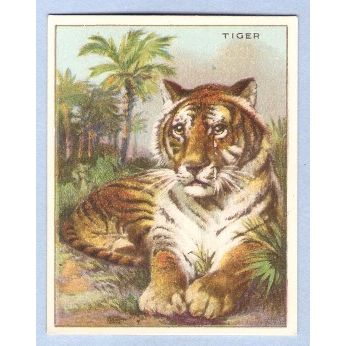 Tobacco Card ~ Company: American Tobacco Company Brand: Hassan Cork Tip Ci~96