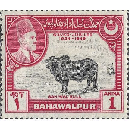 BAHAWALPUR, Sahiwal Bull, red-violet 1949, 1anna